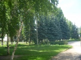 P1050465.JPG
