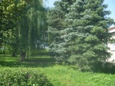 P1050457.JPG
